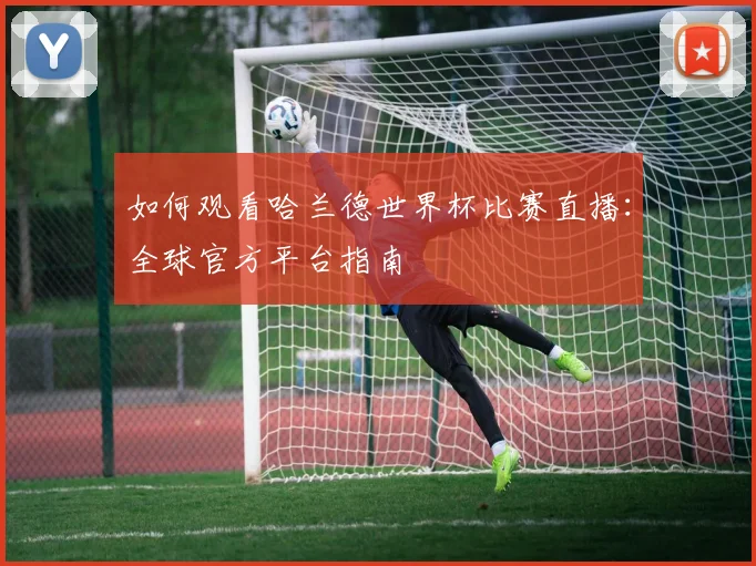 如何观看哈兰德世界杯比赛直播：全球官方平台指南